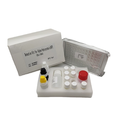 Alpha Fetoprotein Elisa Detection Kit cuantitativa AFP en suero humano