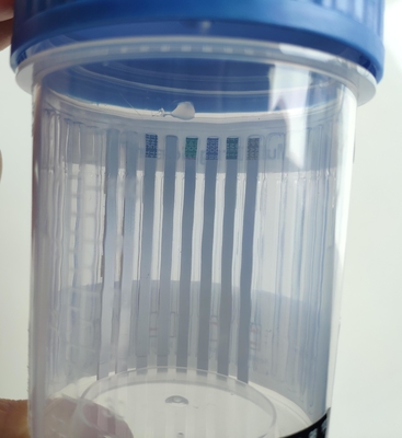 2-5 los minutos un Ce de la taza del análisis de orina del paso aprobó