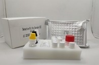 Antígeno de la base de Igg Elisa Kit For Hepatitis B de la prueba de diagnóstico de plasma del suero