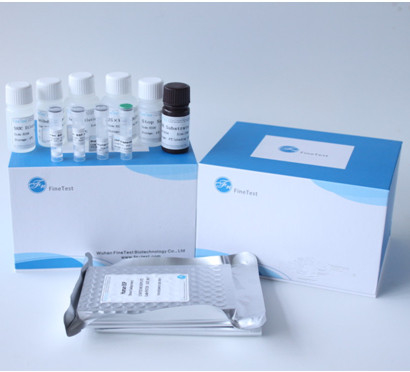 Angiotensina I que convierte la enzima ACE Elisa Test Kit INVBIO