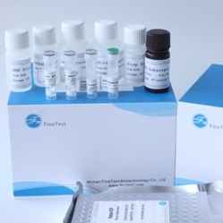 El Fsc certificó a Elisa Kit Human Ifnw 1 interferón Omega-1